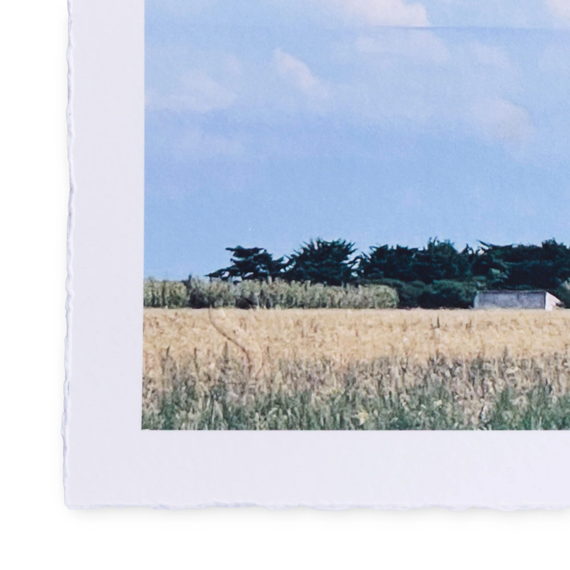 A Daily Cloud - Old Pals (2025) - Image 3