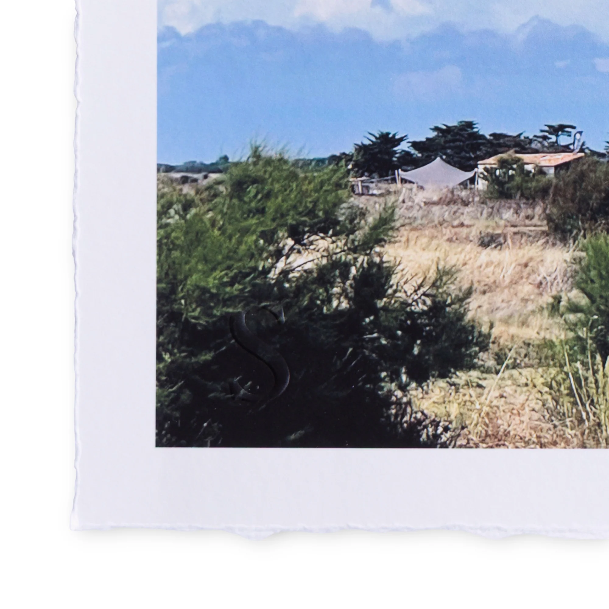A Daily Cloud - Whatever (2025) - Image 3