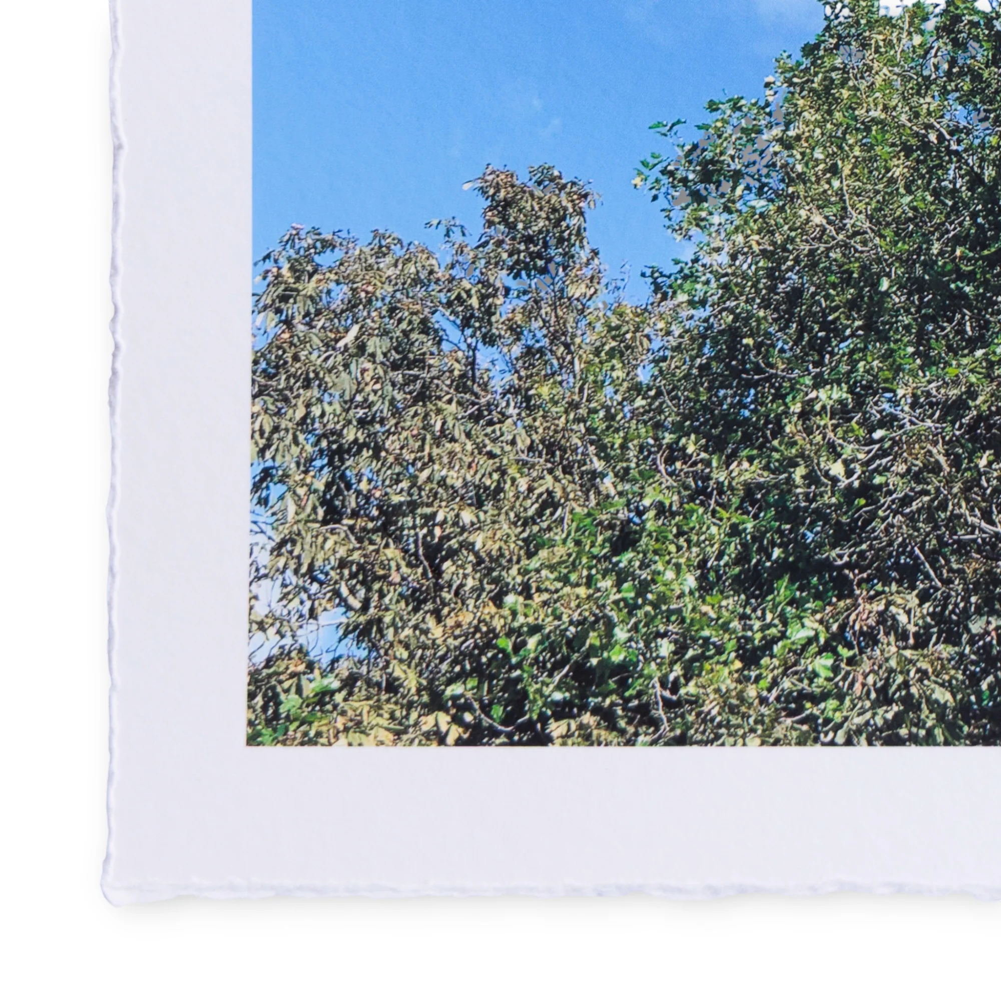 A Daily Cloud - Hey (2025) - Image 3