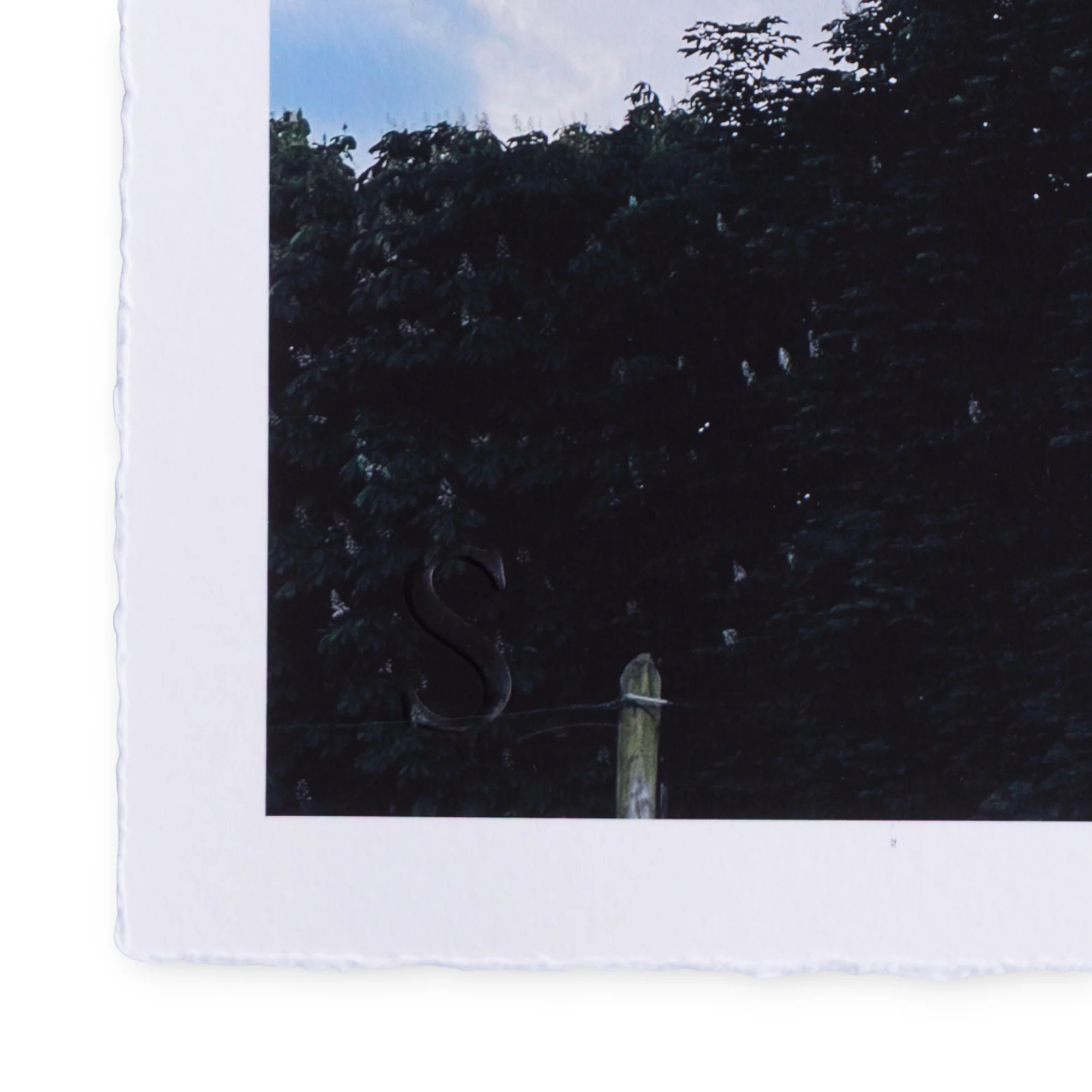 A Daily Cloud - The Boys (2025) - Image 3
