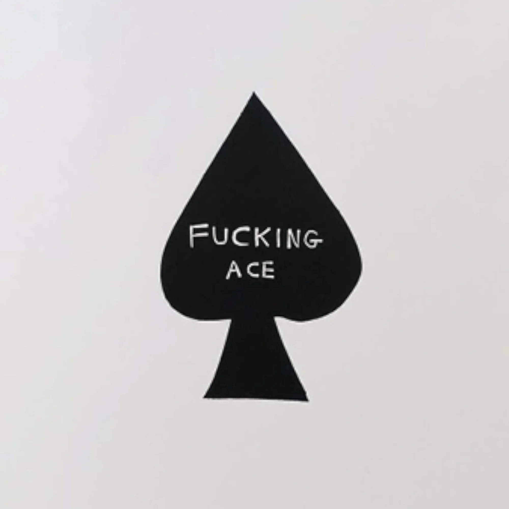 David Shrigley - Fucking Ace (2019) - Image 3