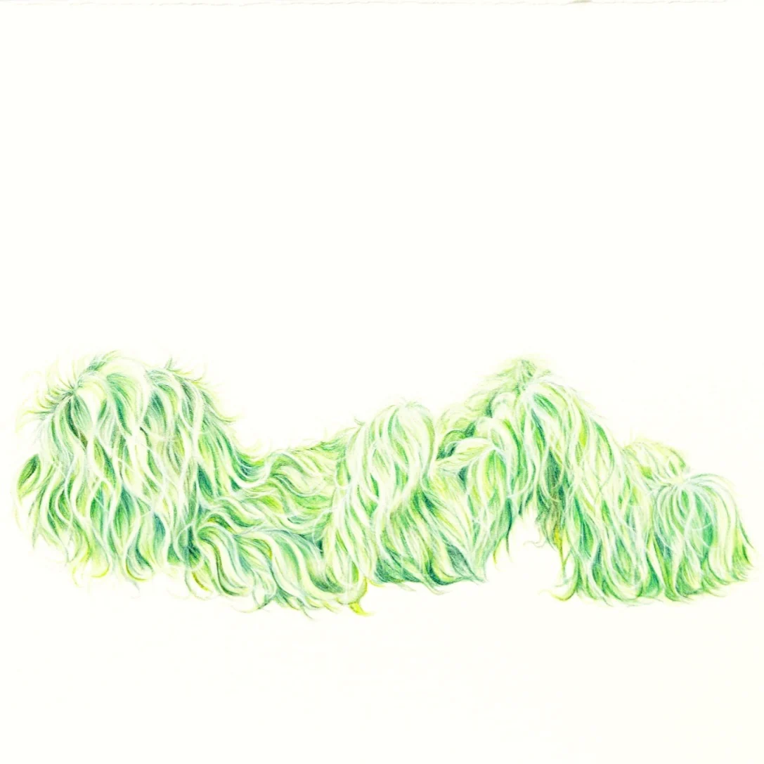 Hairy Monster - Thomas (2025) - Image 3