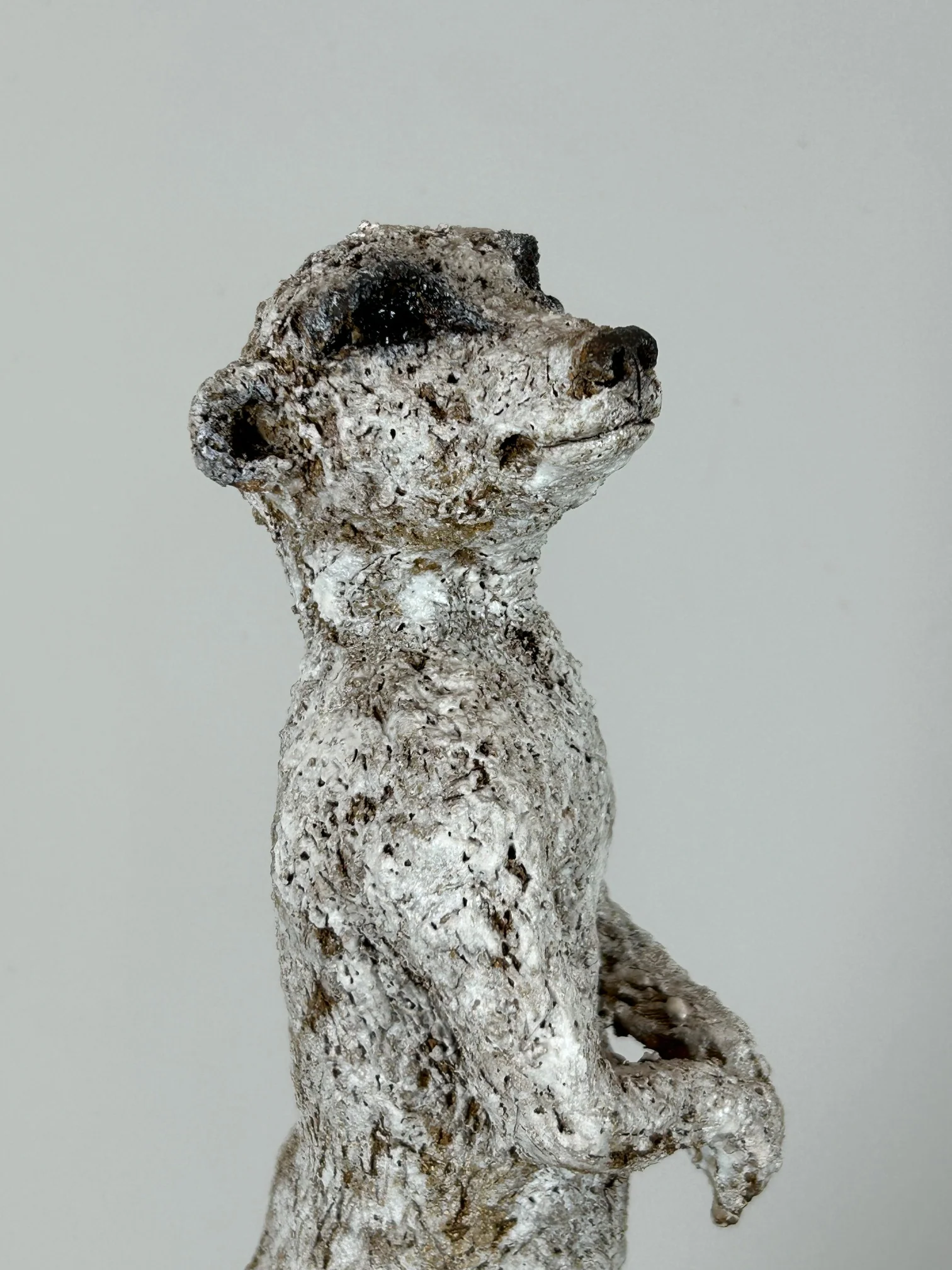 Jane Flint - Tippy - Image 4