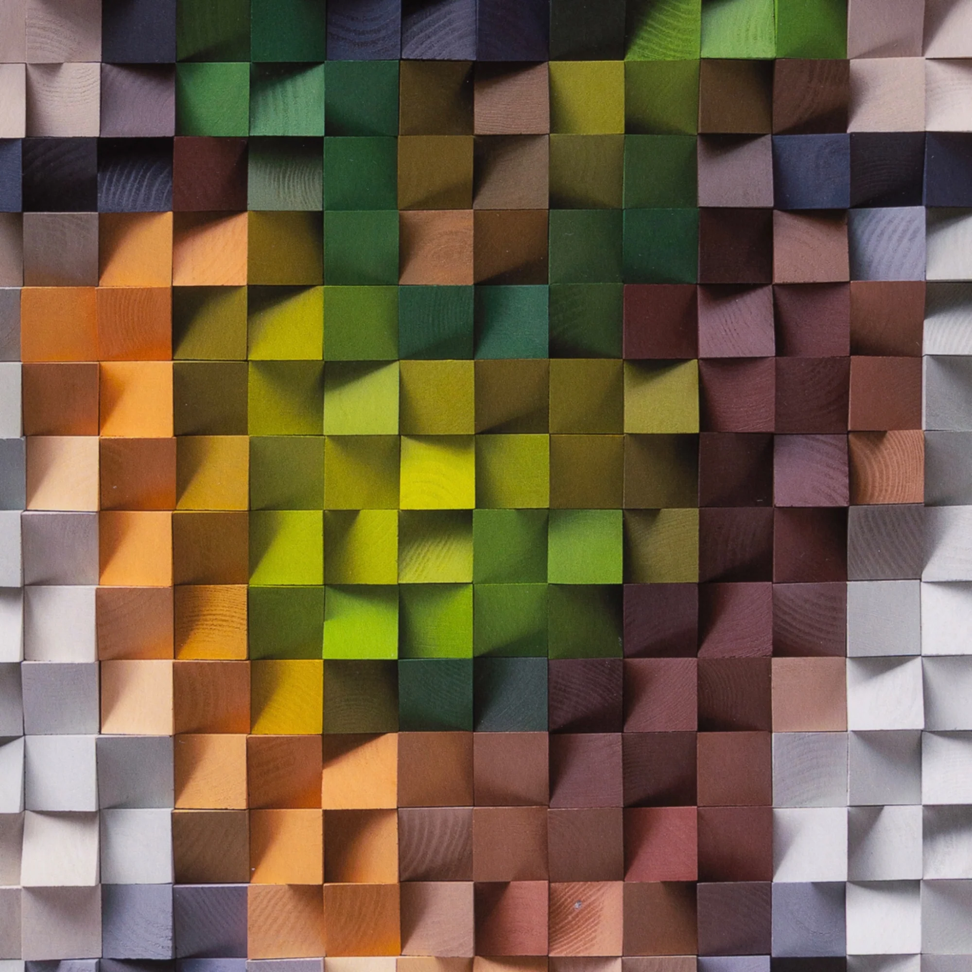 Oz Nami - Apple of Blindness (2025) - Image 5