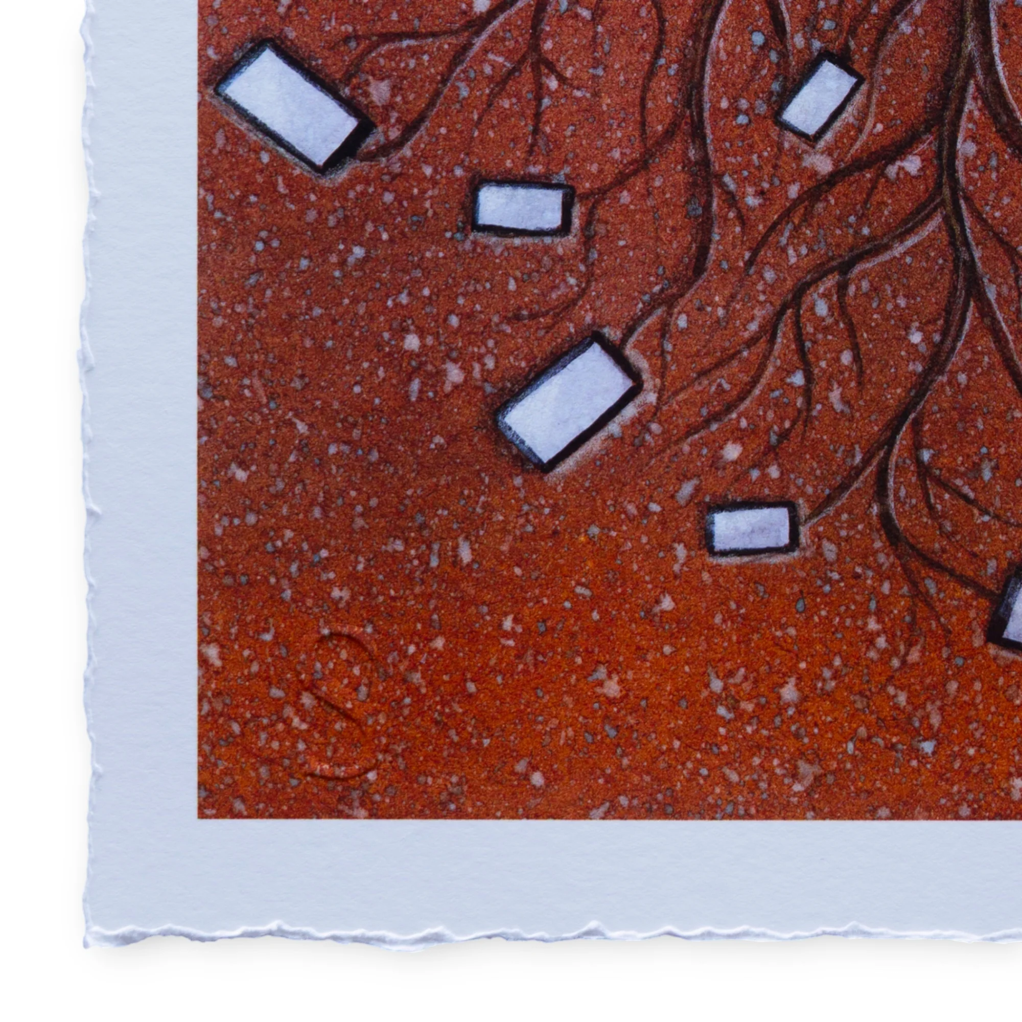 Pawel - Roots (2025) - Image 3