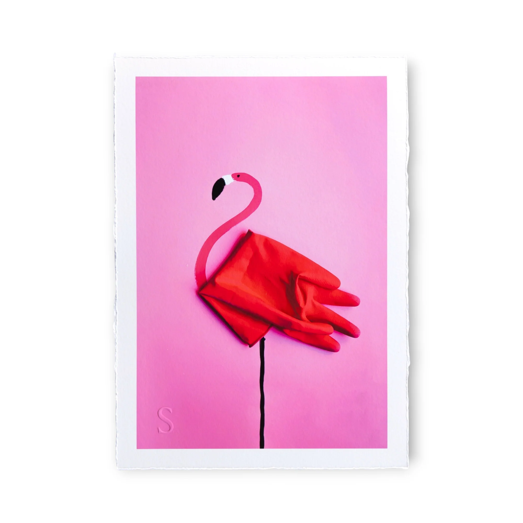 Romain Joly - Flamingo (2025) - Image 2