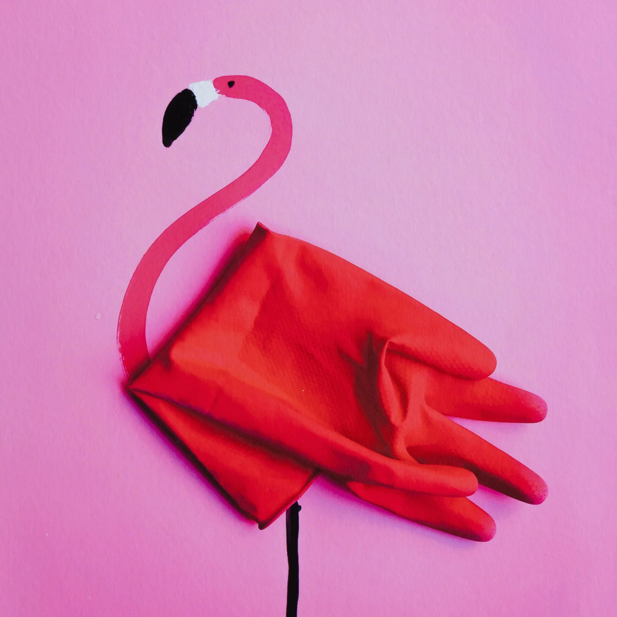 Romain Joly - Flamingo (2025) - Image 4