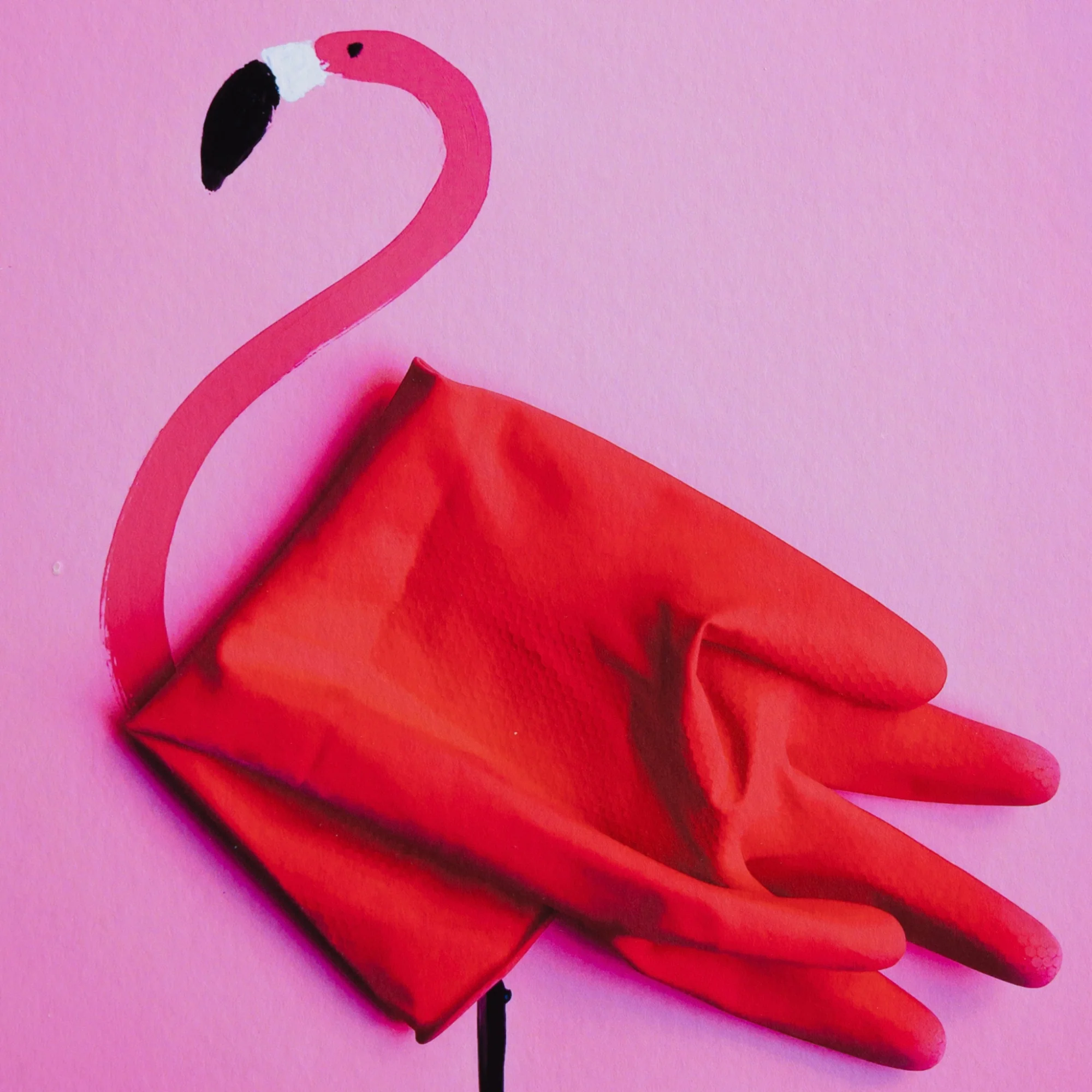 Romain Joly - Flamingo (2025) - Image 5