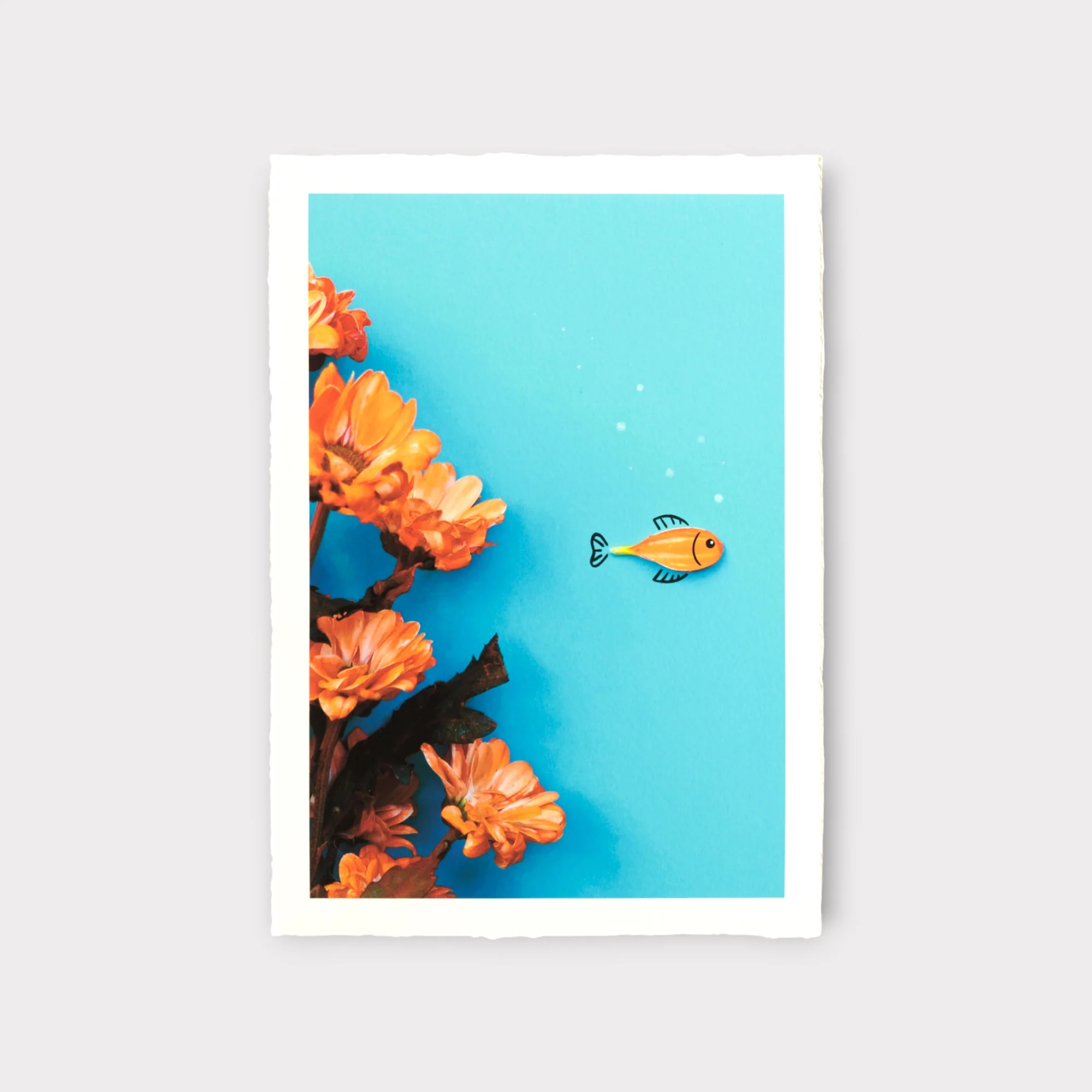 Romain Joly - Poisson Fleur (2025)