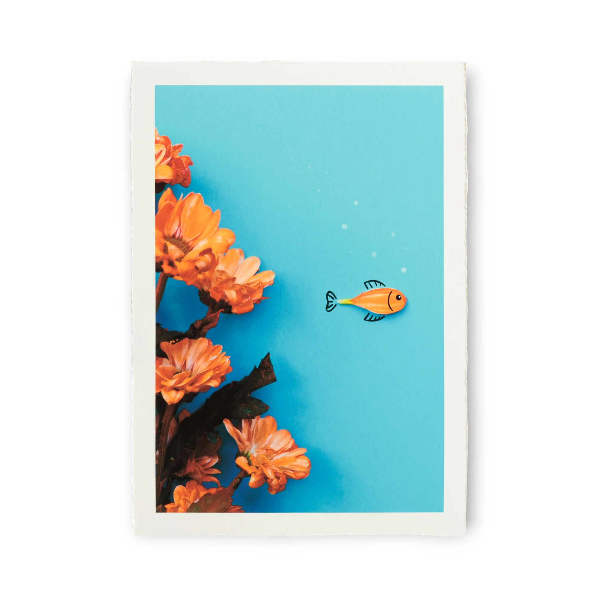 Romain Joly - Poisson Fleur (2025) - Image 2