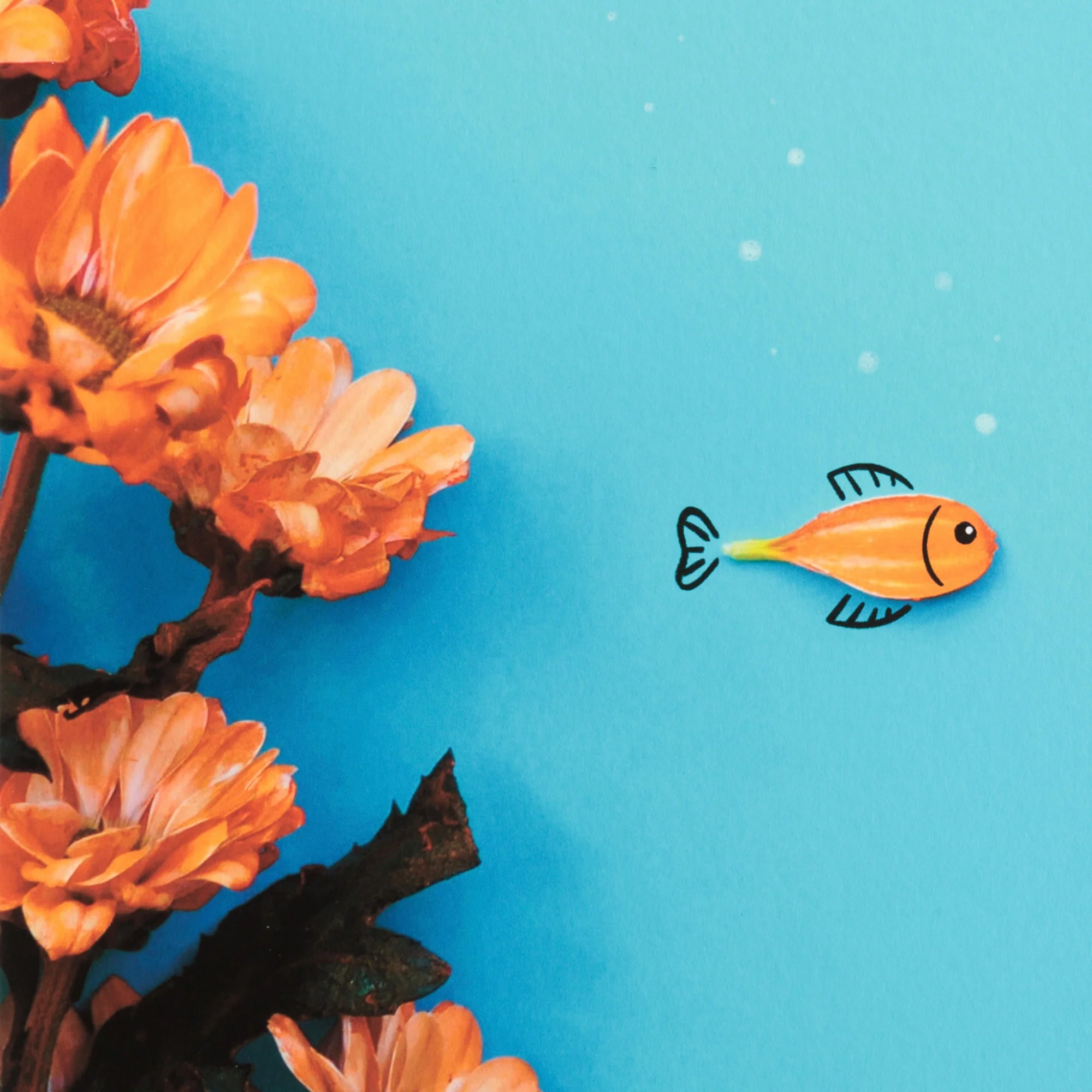 Romain Joly - Poisson Fleur (2025) - Image 4