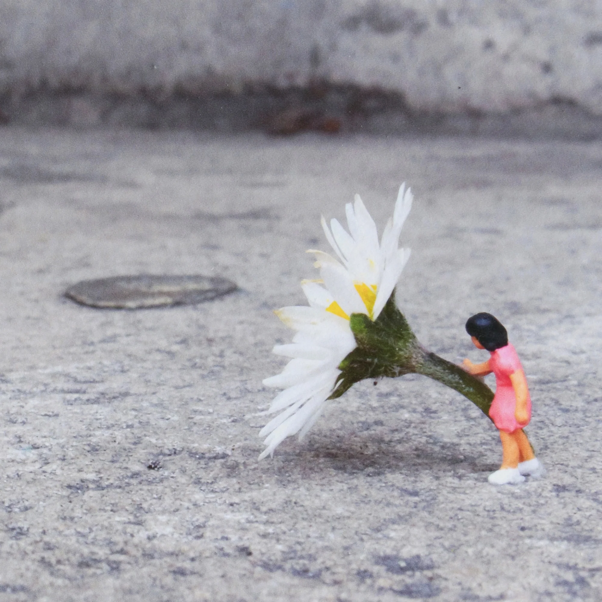 Roy's People - It's Just A Daisy (2025) - Image 5