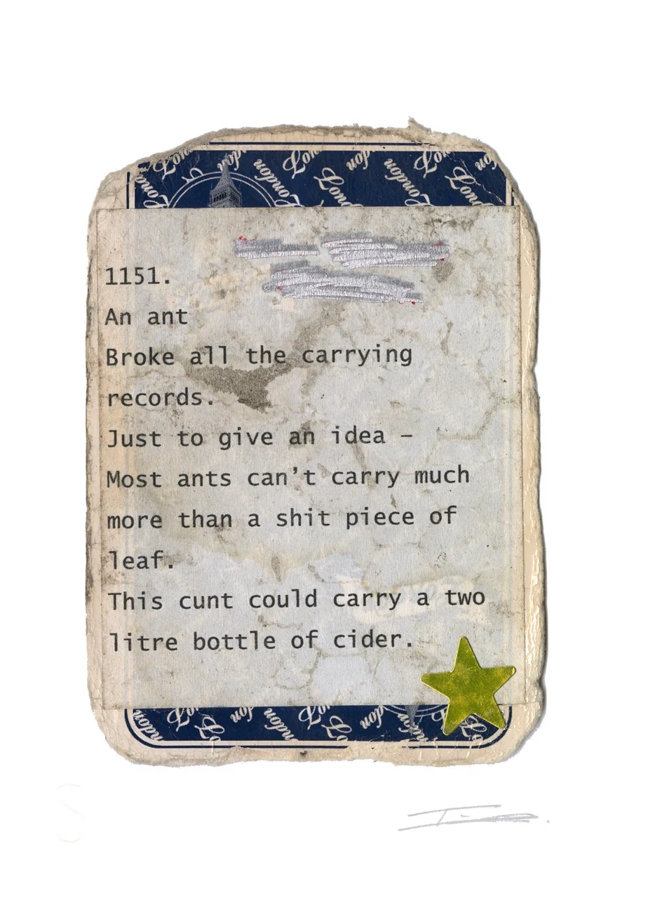 Tim Key - 1151. (2023) - Image 2