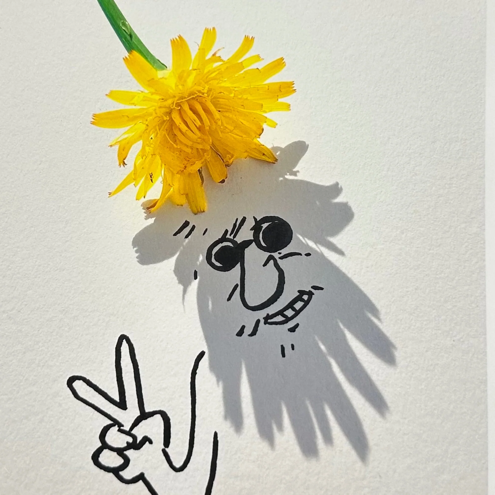 Vincent Bal - Flower Power (2025) - Image 3